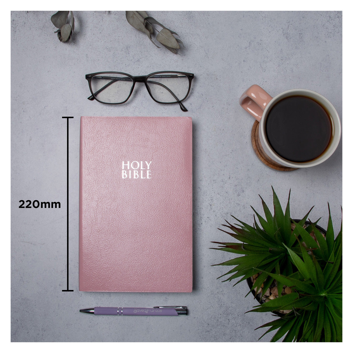NIV Pink Paperback Gift & Award Bible Red Letter Edition Comfort Print