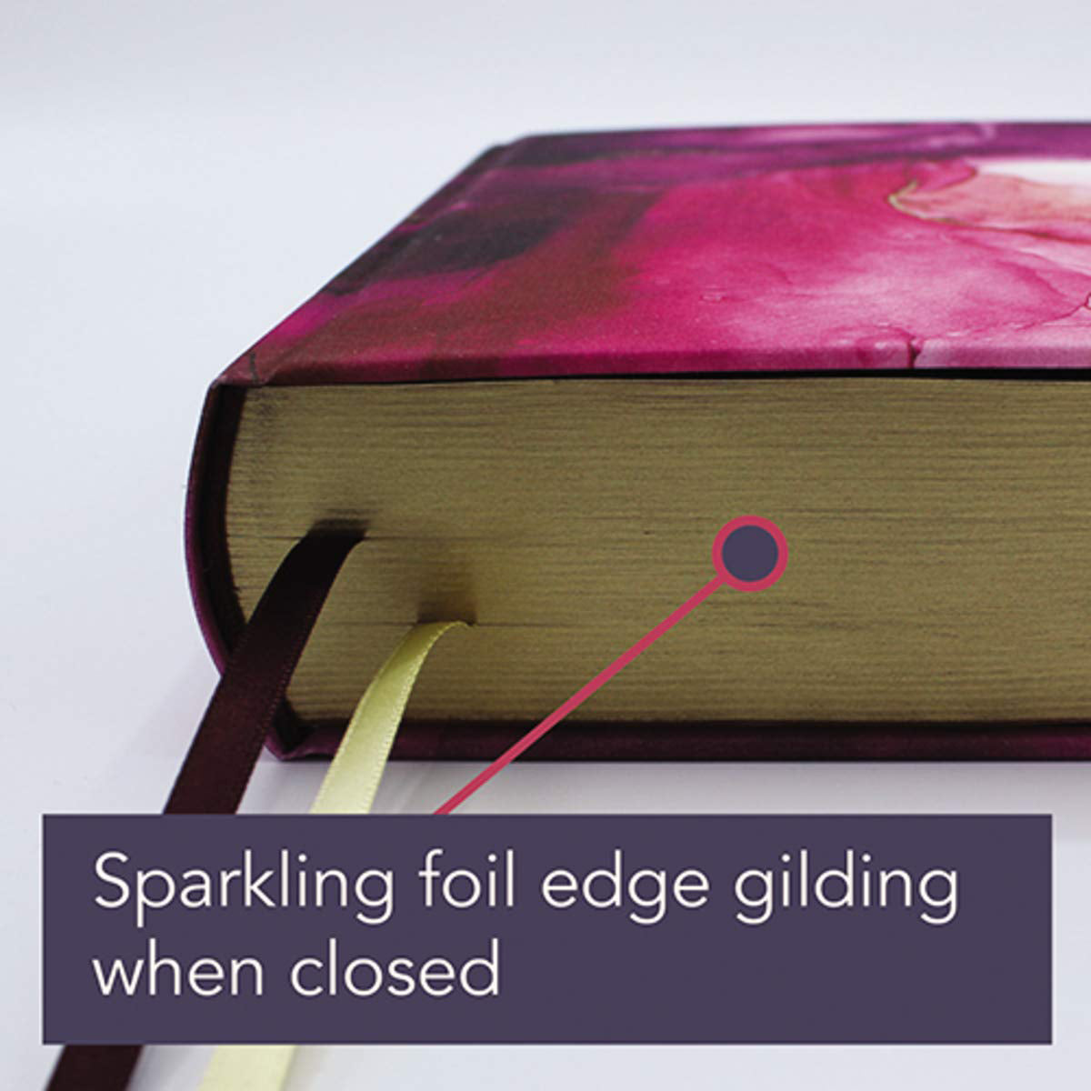 NIV Artisan Collection Bible Red Letter Pink Art (Comfort Print)(Hardcover)