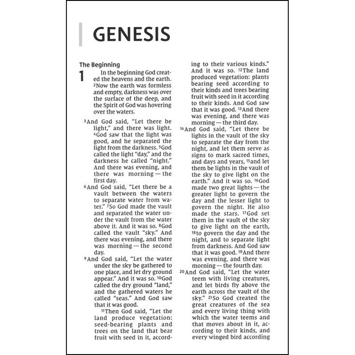 NIV Personal Size Bible Large Print Brown (Comfort Print)(Imitation Leather)