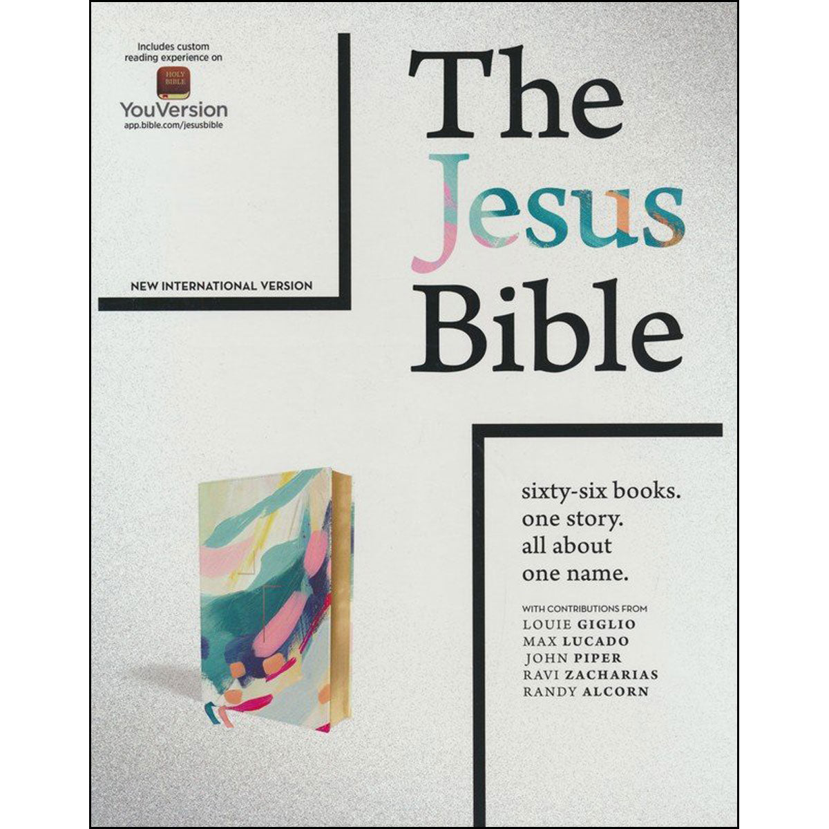NIV Jesus Bible NIV Edition Multi-Color / Teal (Comfort Print)(Imitation Leather)