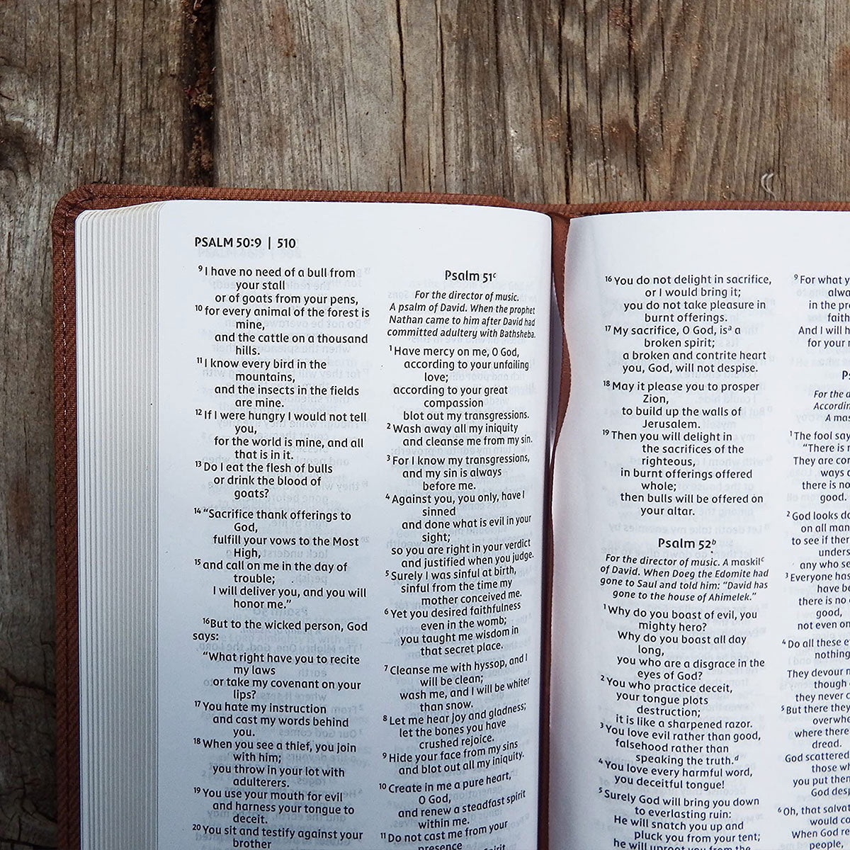 NIV Thinline Pocket Bible Red Letter Brown (Imitation Leather)