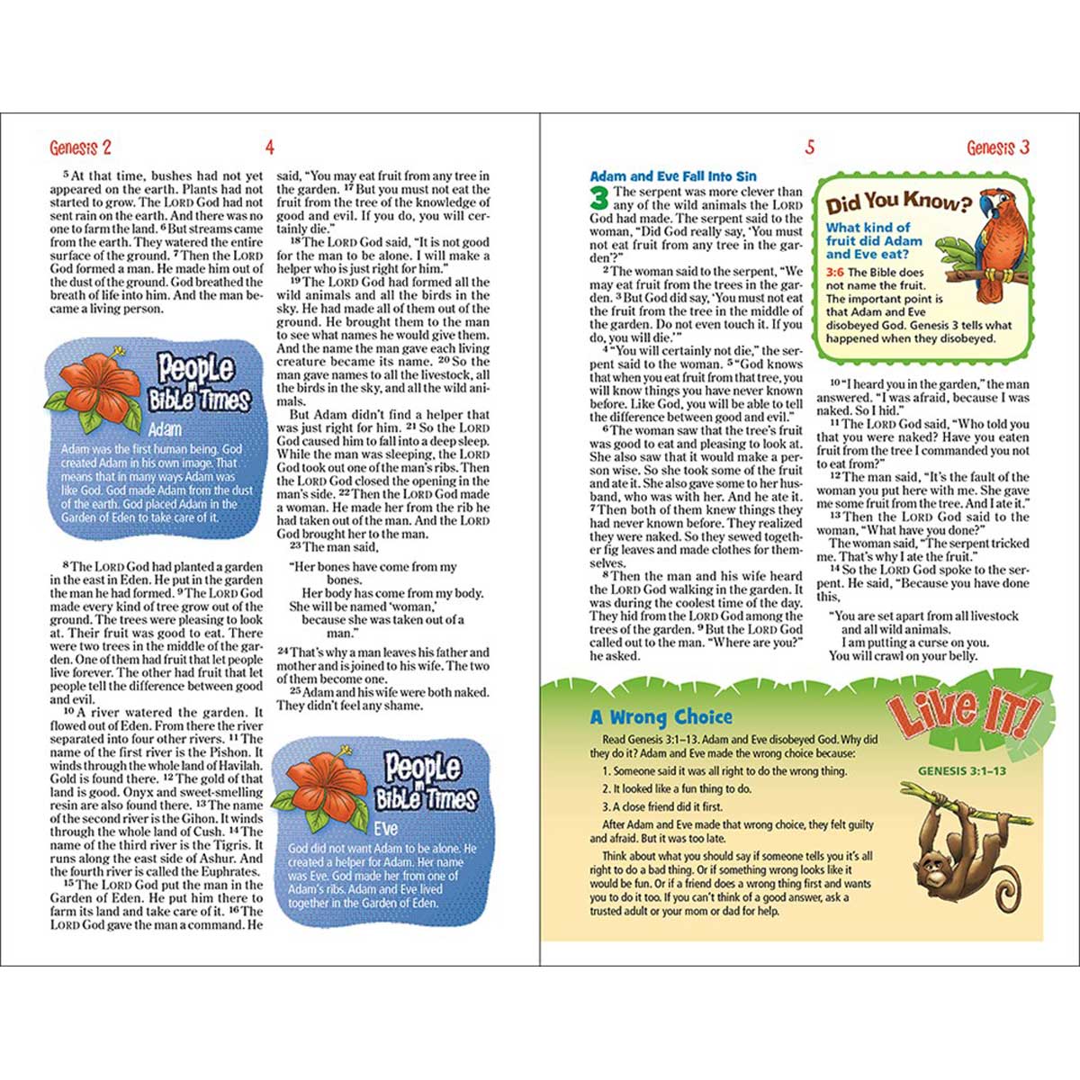 NIRV Adventure Bible For Early Readers Coral (Imitation Leather)