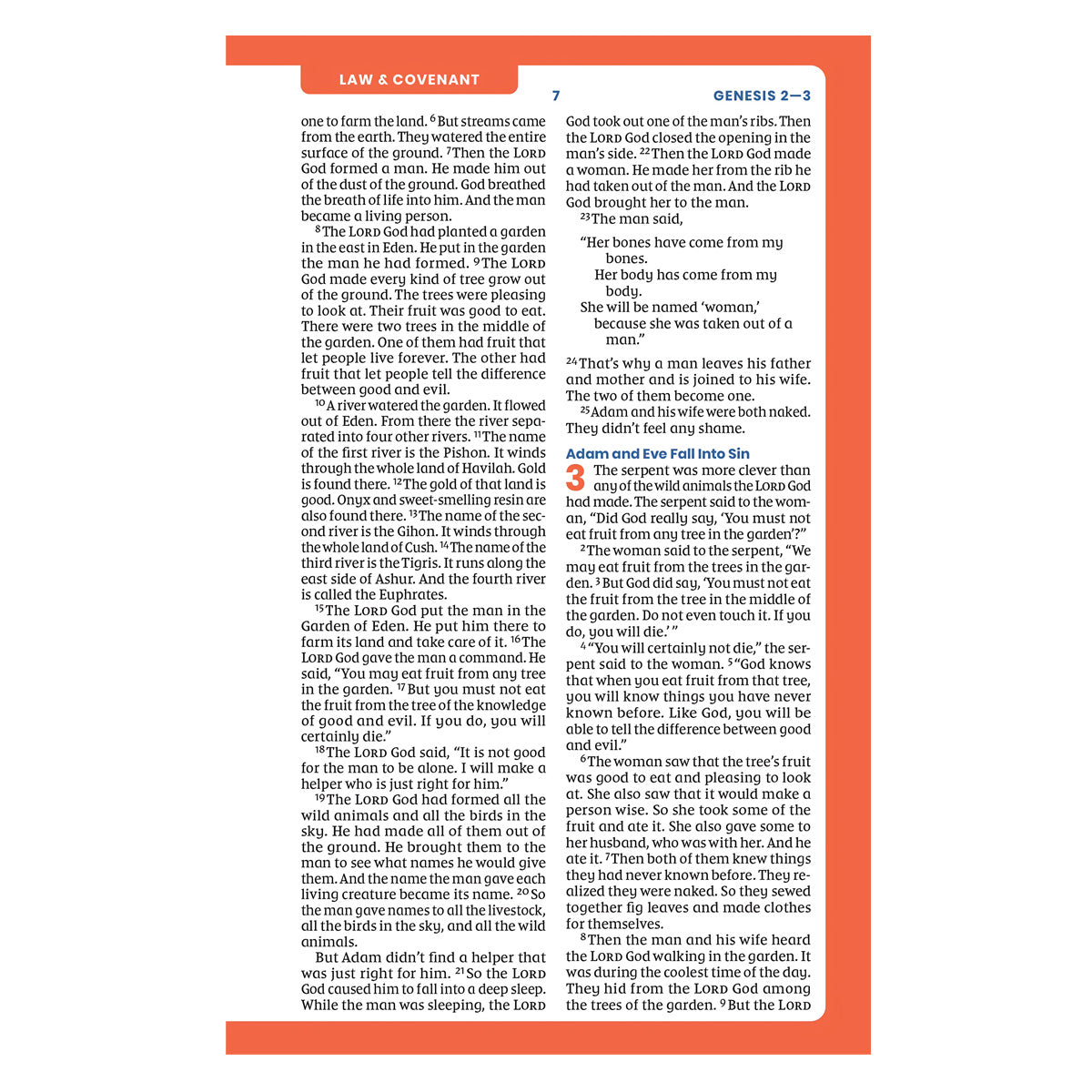 NIRV Pink Imitation Leather Tiny Theologians Bible for Kids Comfort Print