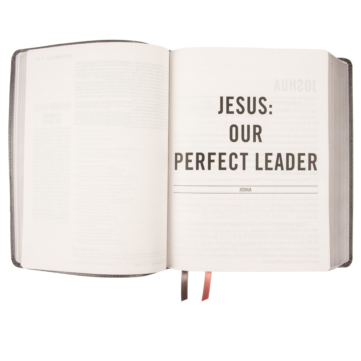 NIV The Jesus Bible Artists Edition Grey Floral (Imitation Leather)