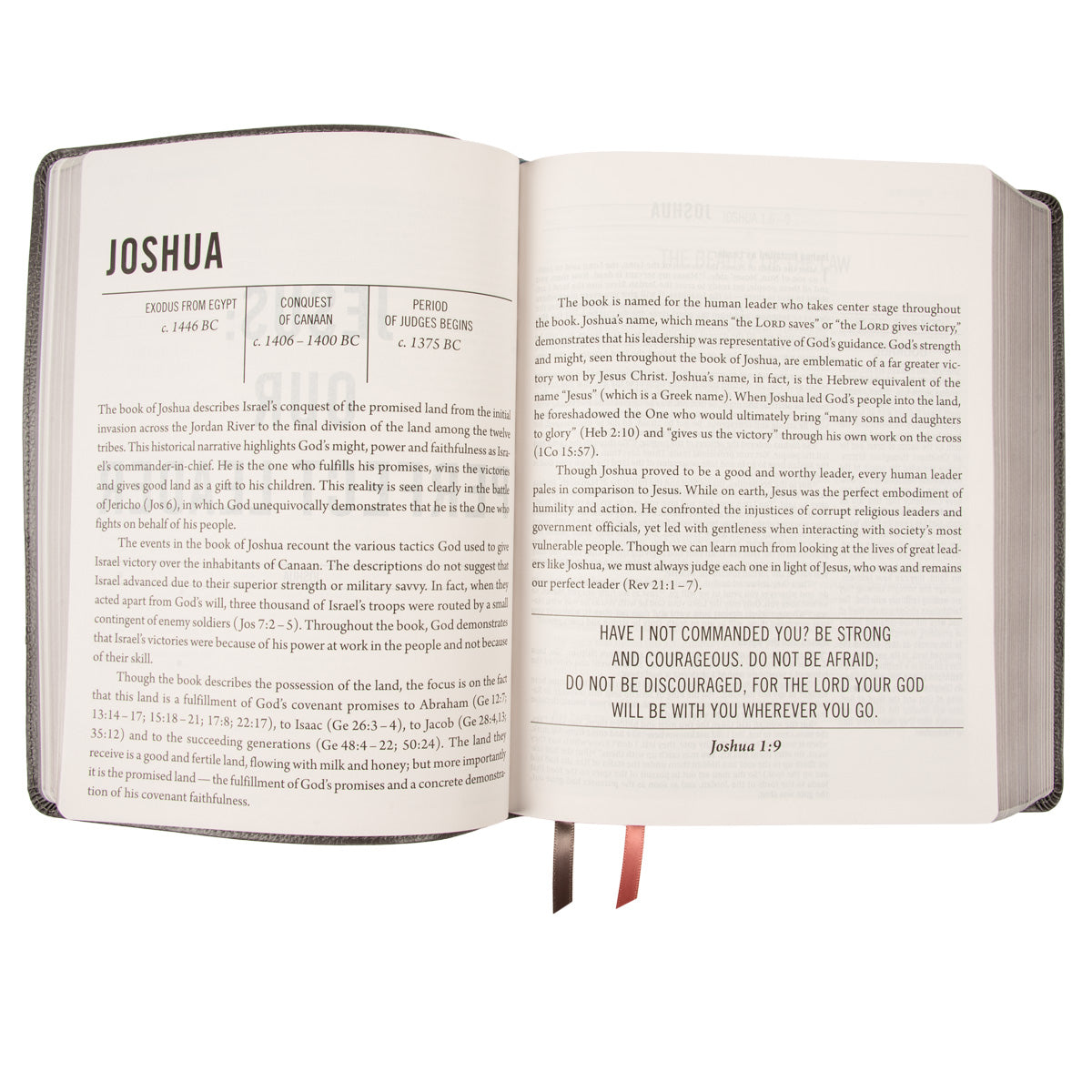 NIV The Jesus Bible Artists Edition Grey Floral (Imitation Leather)