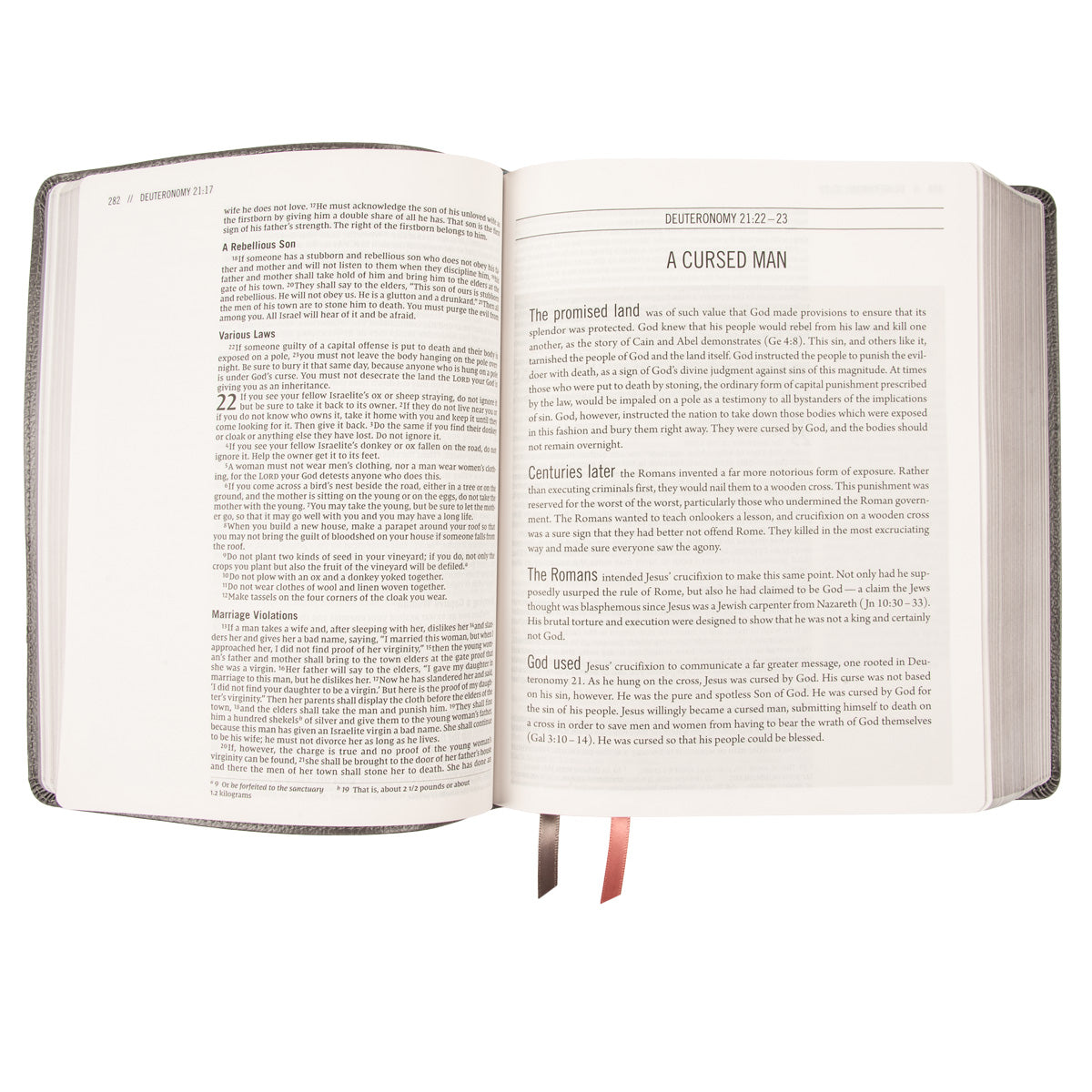 NIV The Jesus Bible Artists Edition Grey Floral (Imitation Leather)