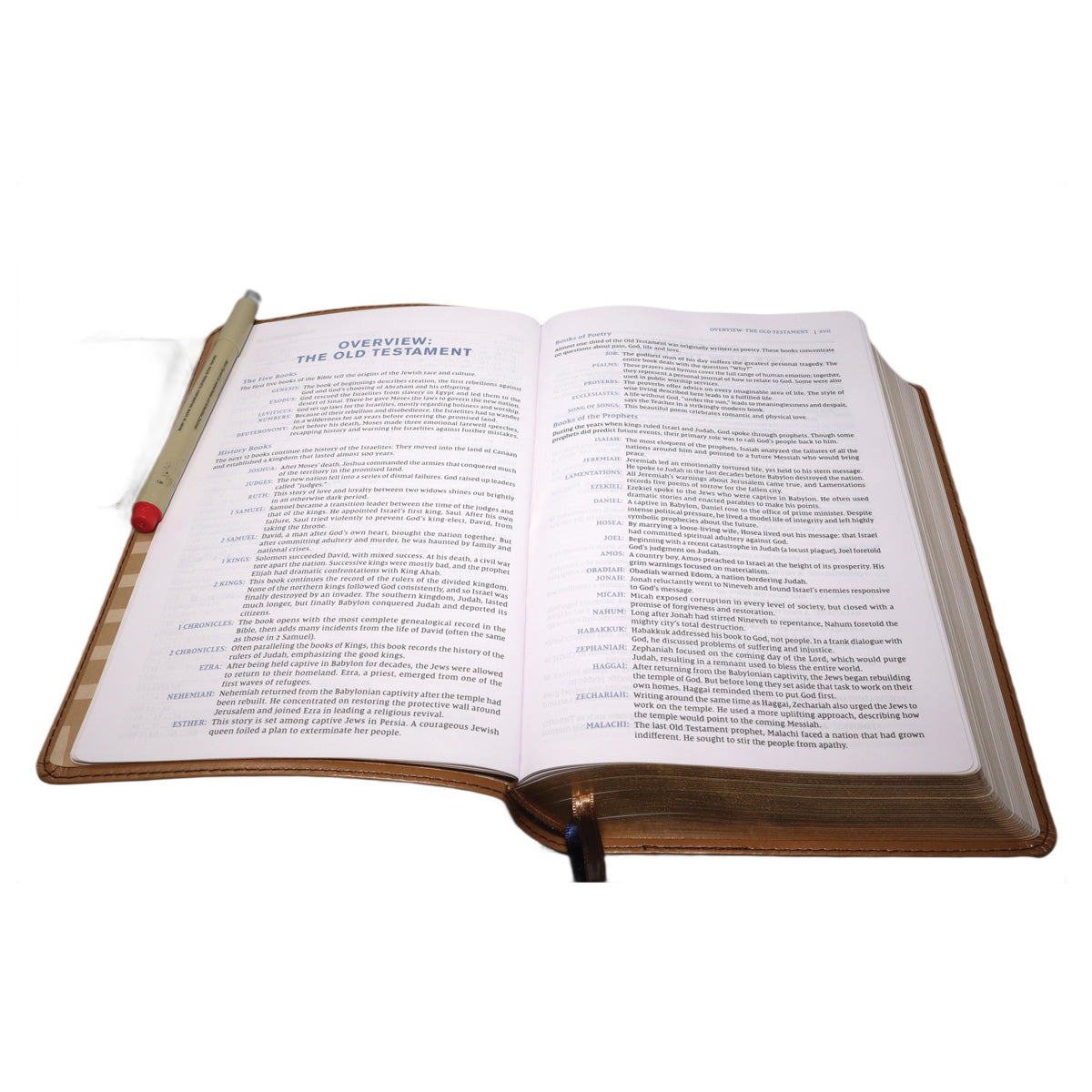 NIV Tan Imitation Leather Personal Size Student Bible Comfort Print