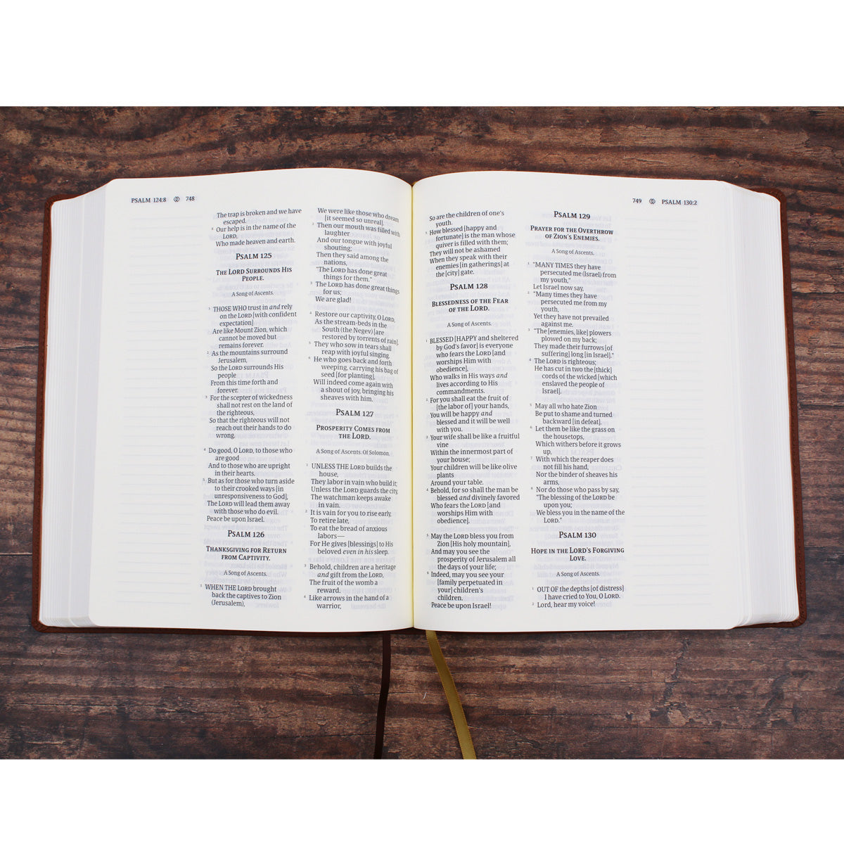Amplified Brown Imitation Leather Journal the Word Bible
