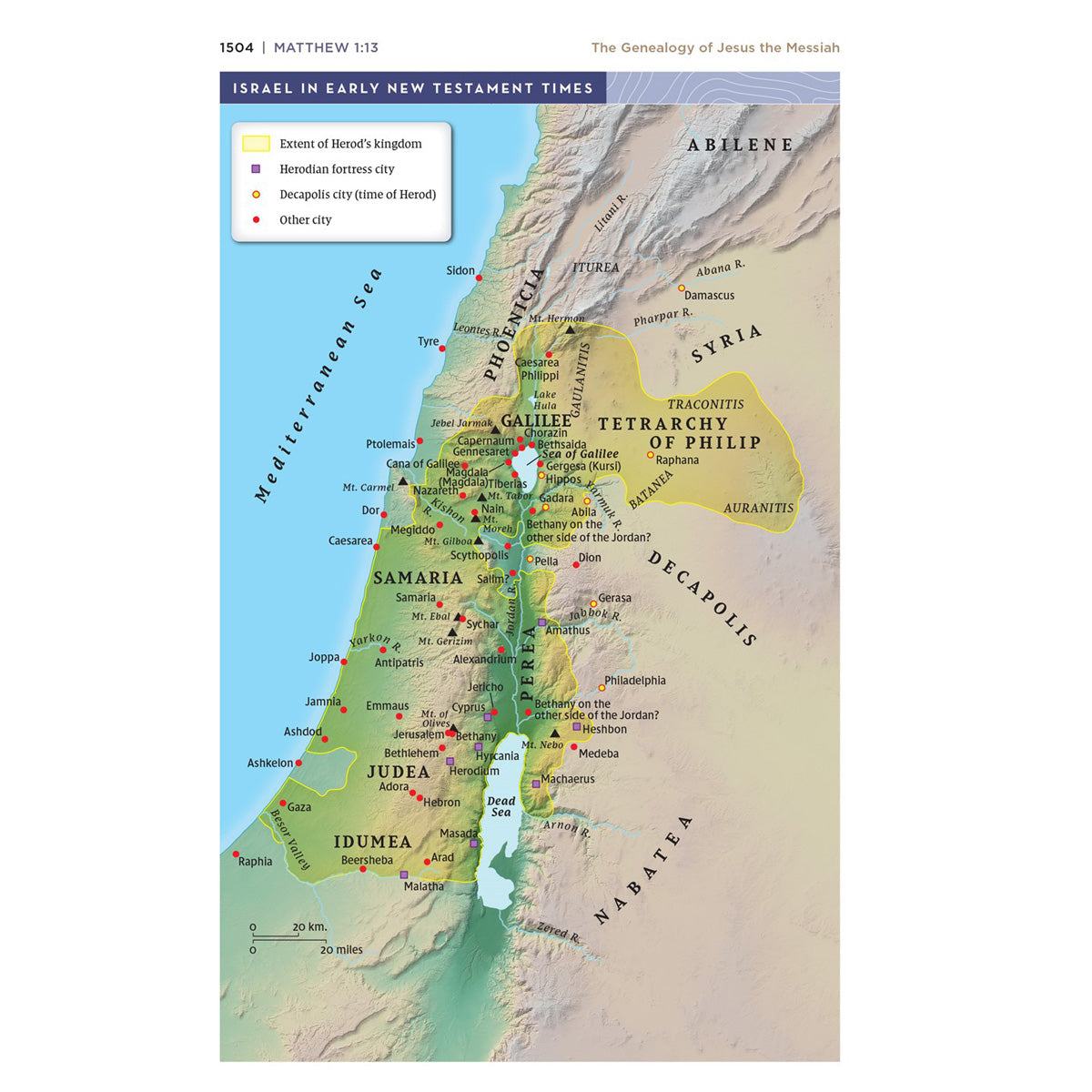 NIV Coral and Grey Imitation Leather Application Bible Comfort Print