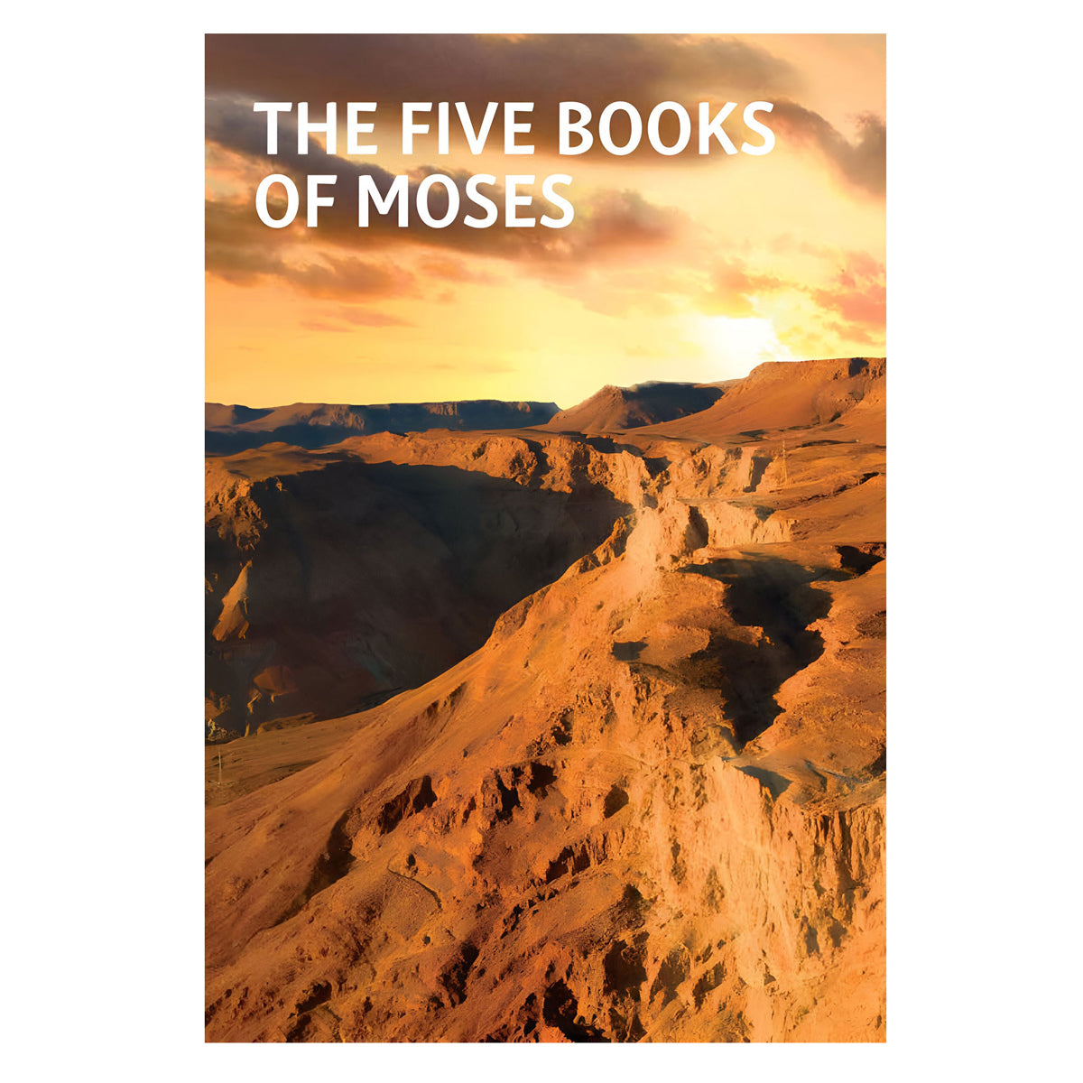 NIV Pink Hardcover Study Bible Fully Revised Edition Comfort Print