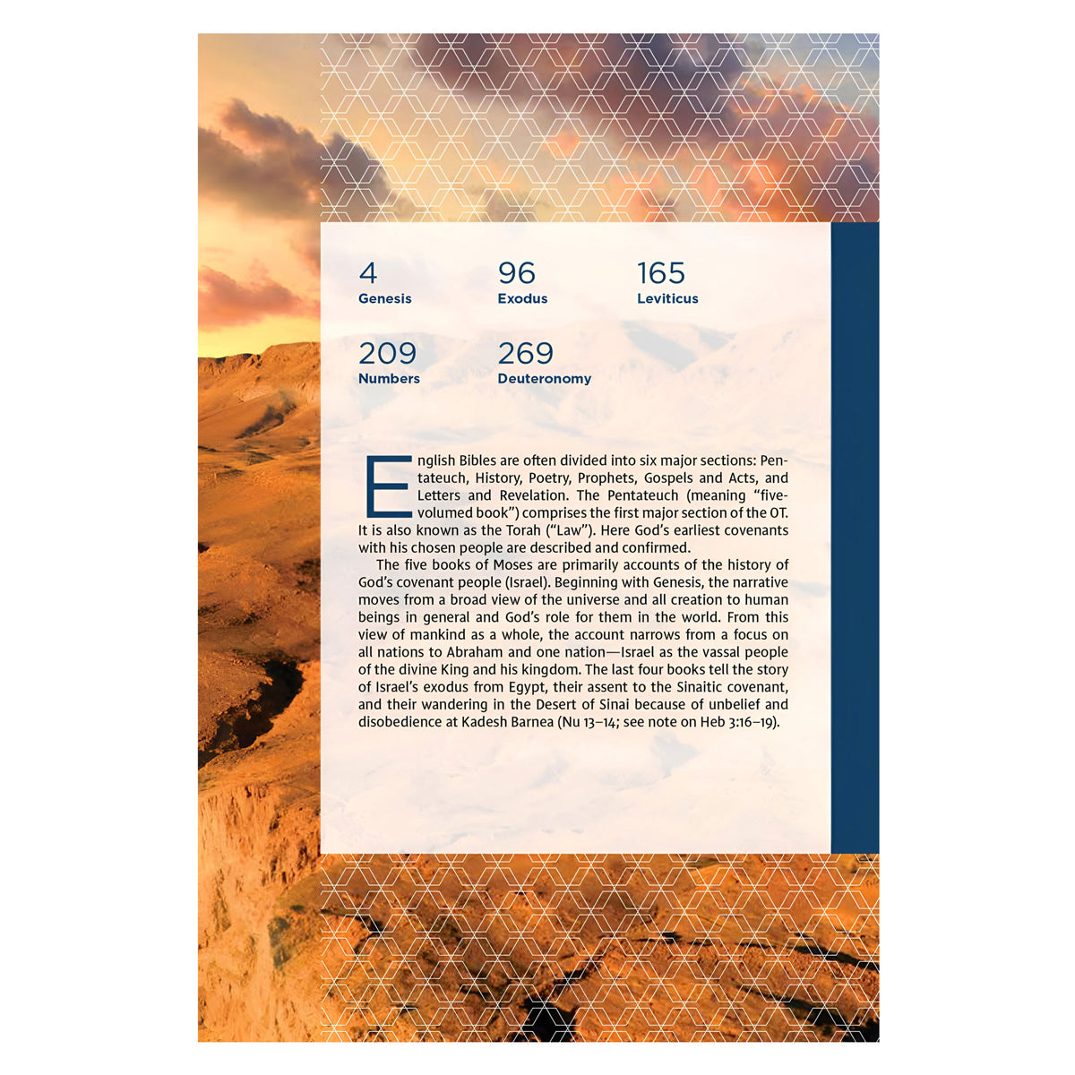 NIV Pink Hardcover Study Bible Fully Revised Edition Comfort Print