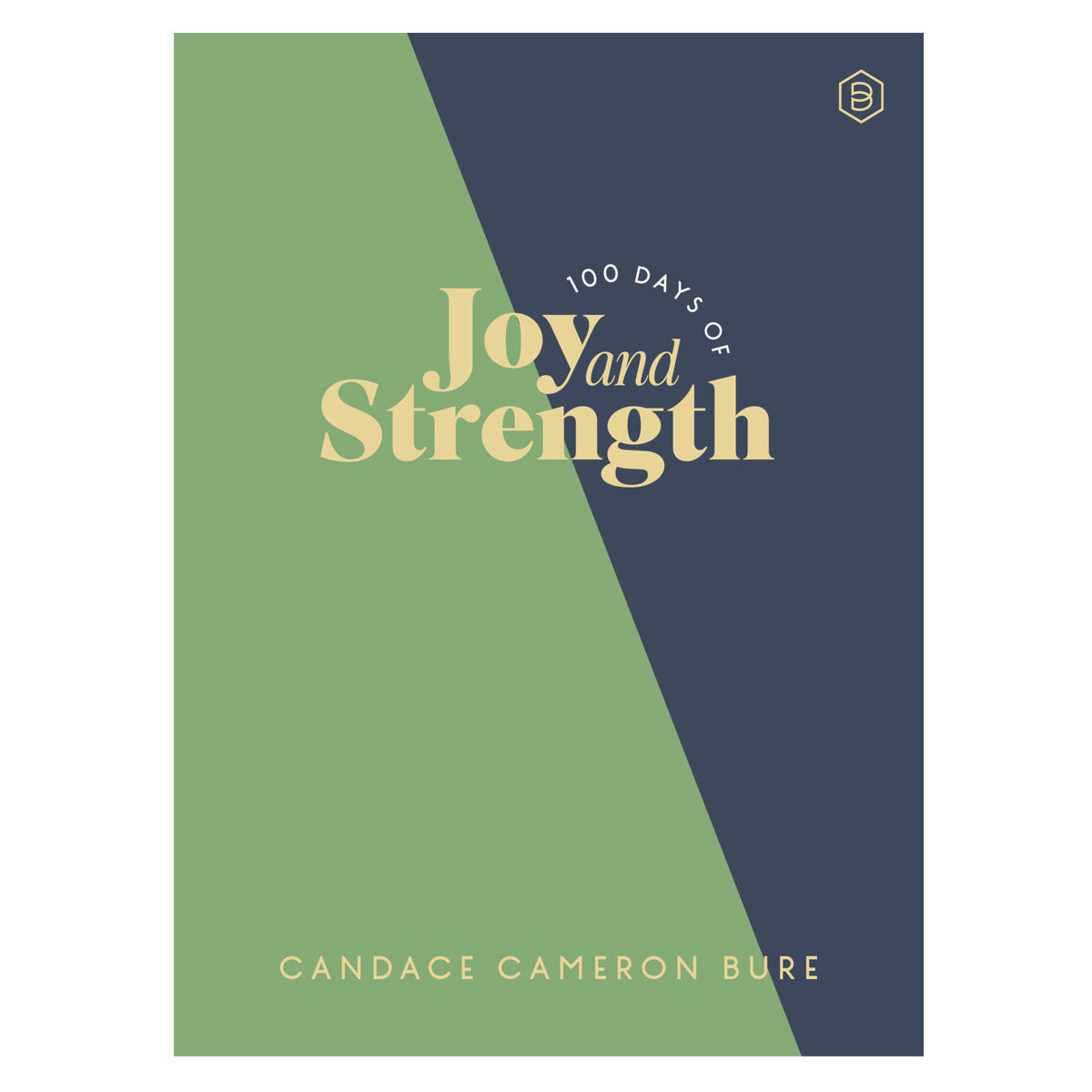 100 Days of Joy & Strength: Daily Dev to Help You Find Overwhelming Peace - Light the Way HC