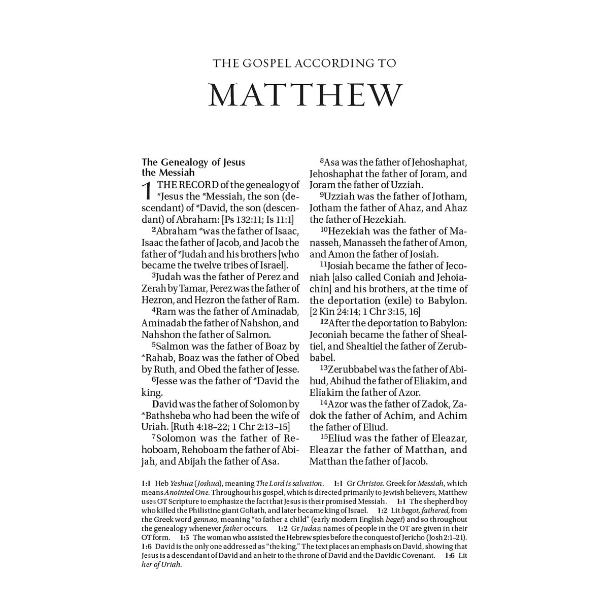 Amplified Brown Imitation Leather Holy Bible Large Print