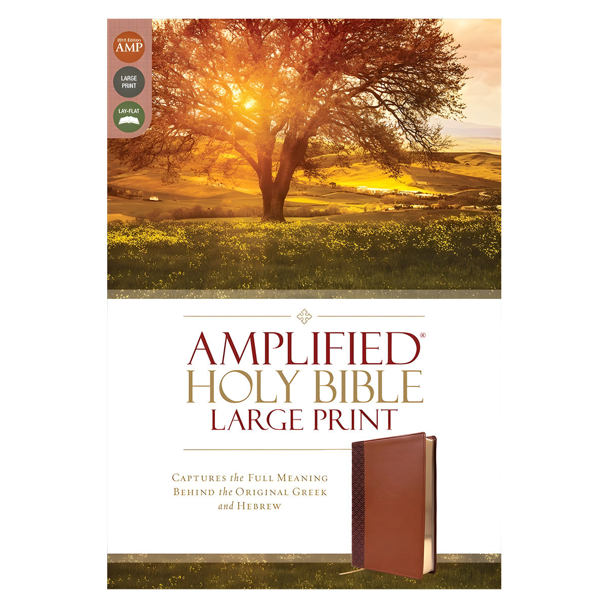 Amplified Brown Imitation Leather Holy Bible Large Print