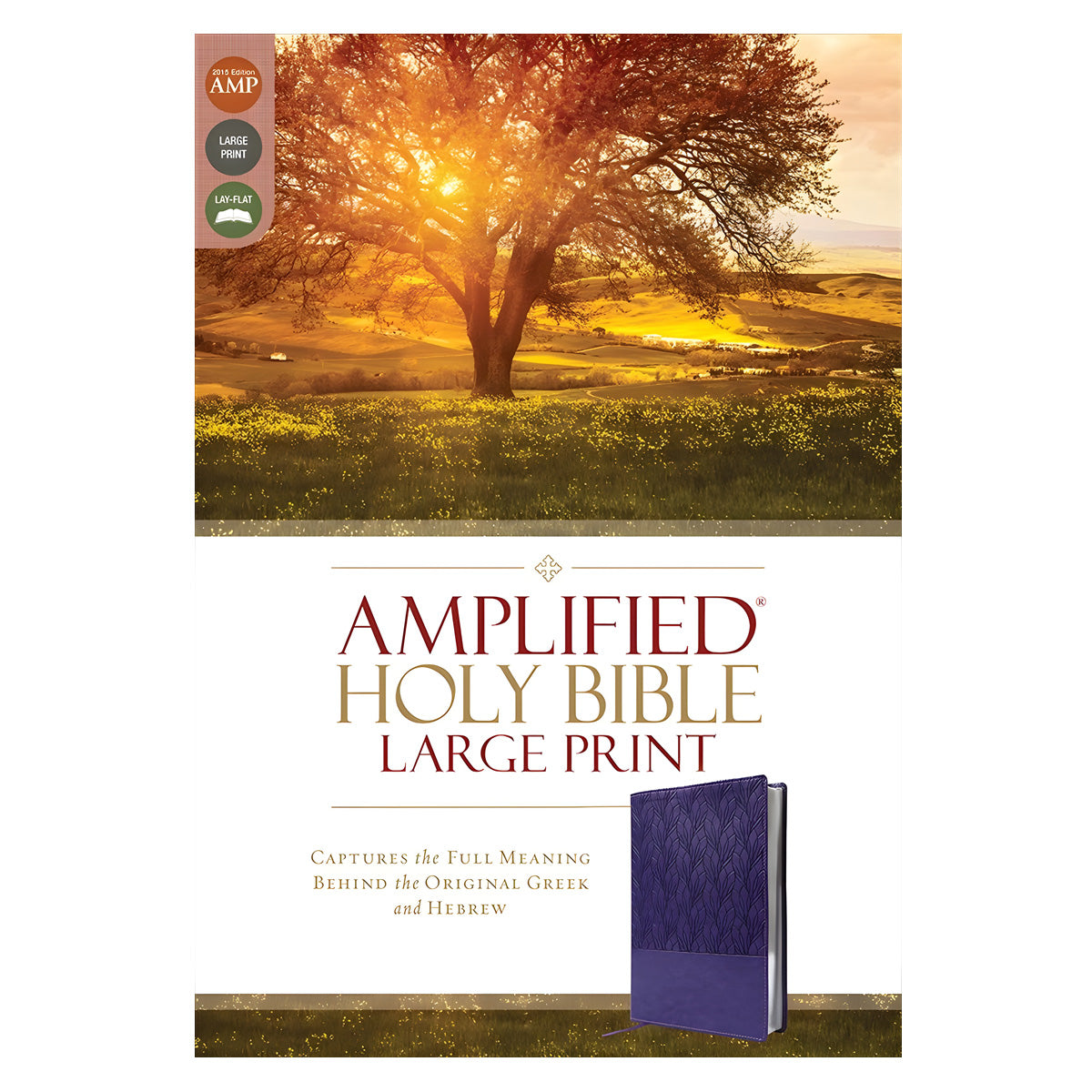 Amplified Purple Imitation Leather Holy Bible Large Print