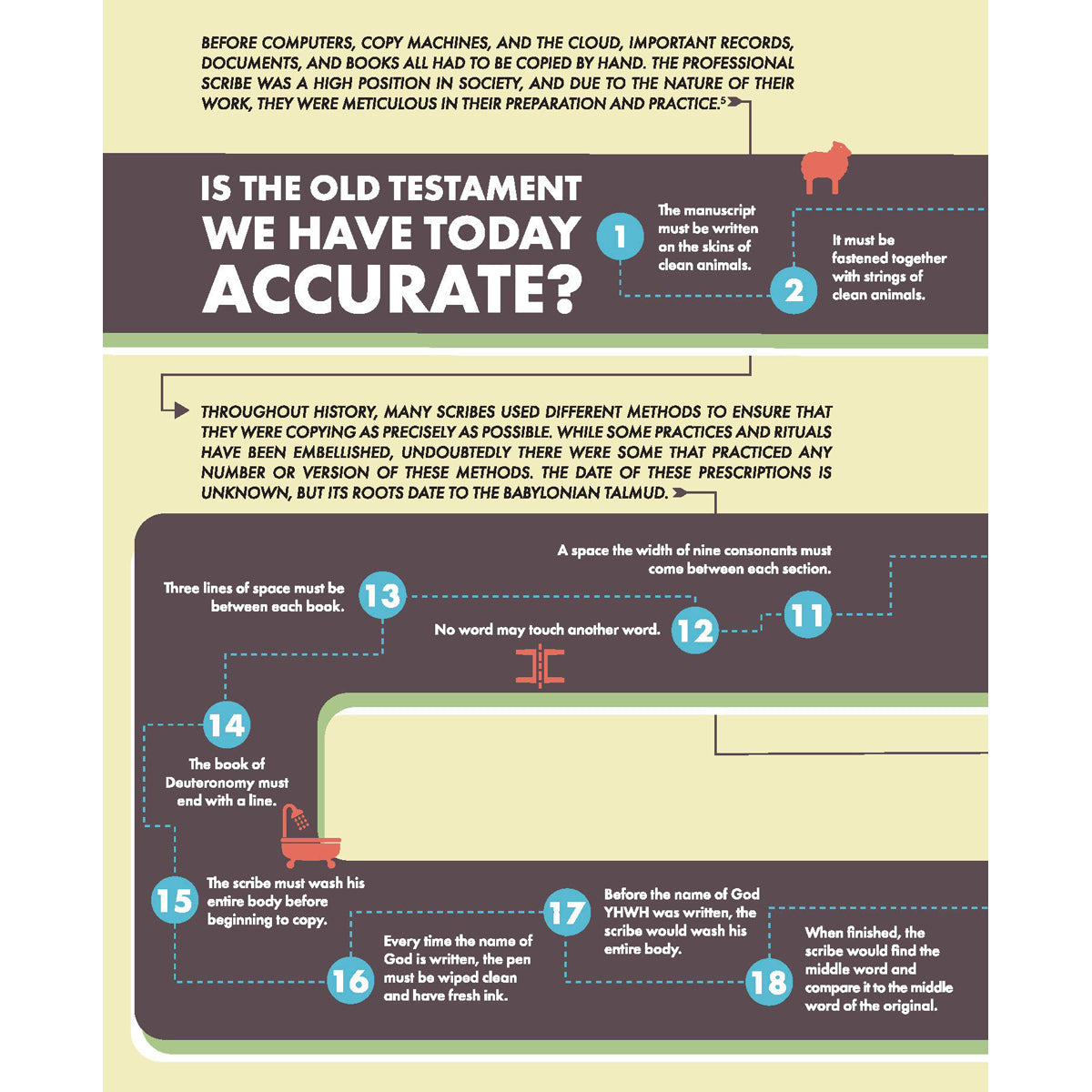 Visual Theology Guide To The Bible (Paperback)