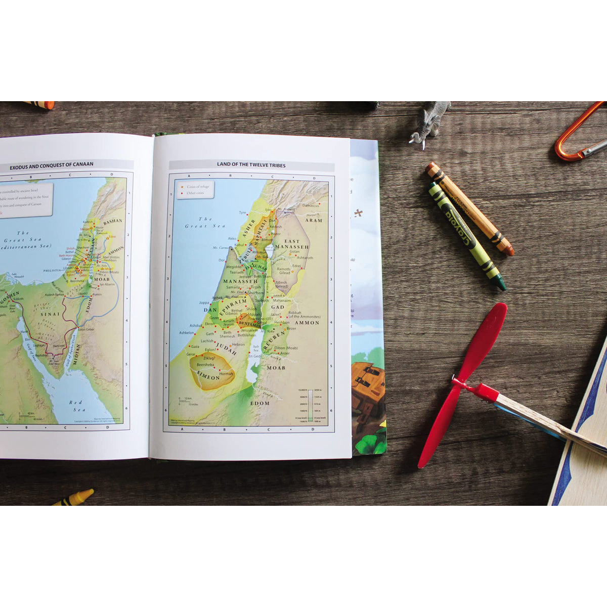 NIV Adventure Bible Full Color Thumb Indexed Revised (Hardcover)
