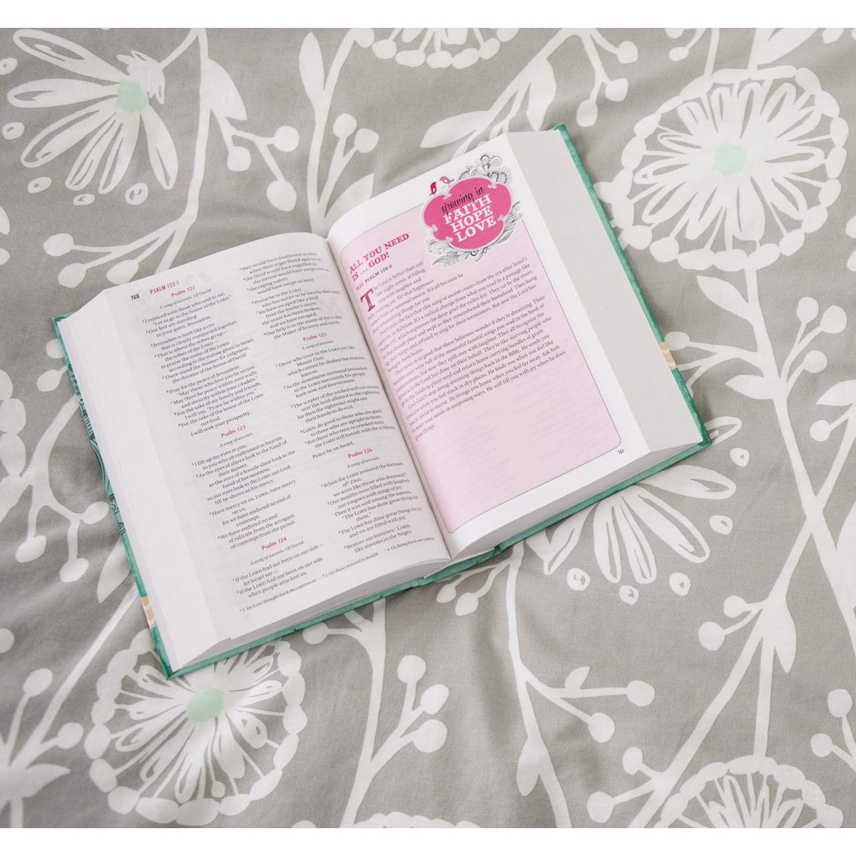 NIV Bible For Teen Girls Blue: Growing In Faith, Hope And Love (Imitation Leather)