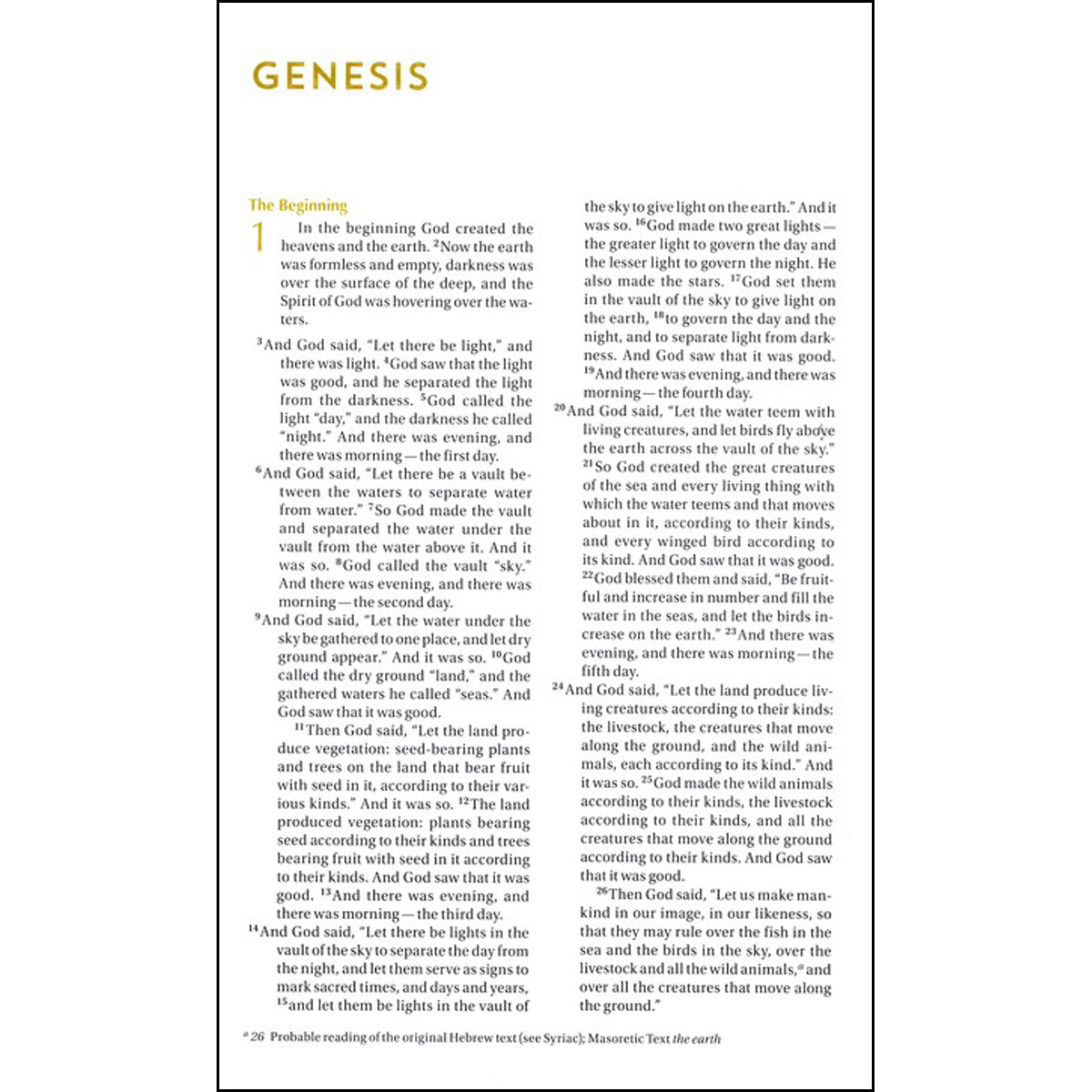 NIV Bible For Teen Guys Blue (Imitation Leather)