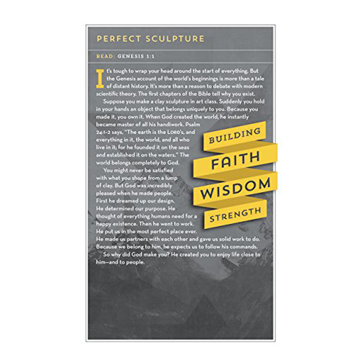 NIV Bible For Teen Guys Blue (Imitation Leather)