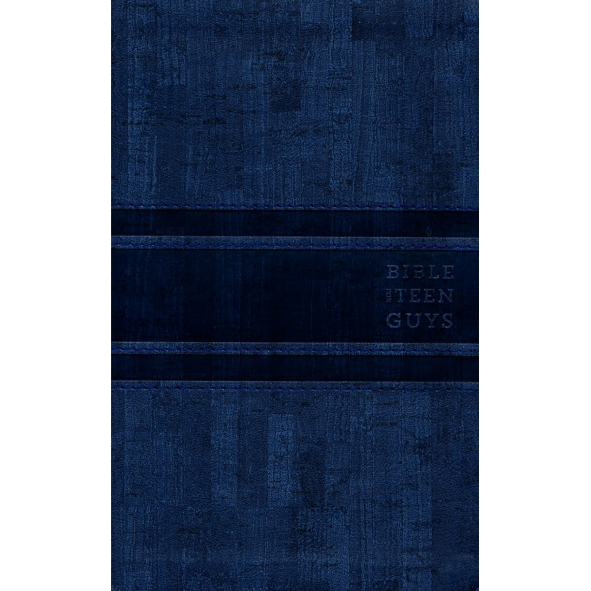 NIV Bible For Teen Guys Blue (Imitation Leather)