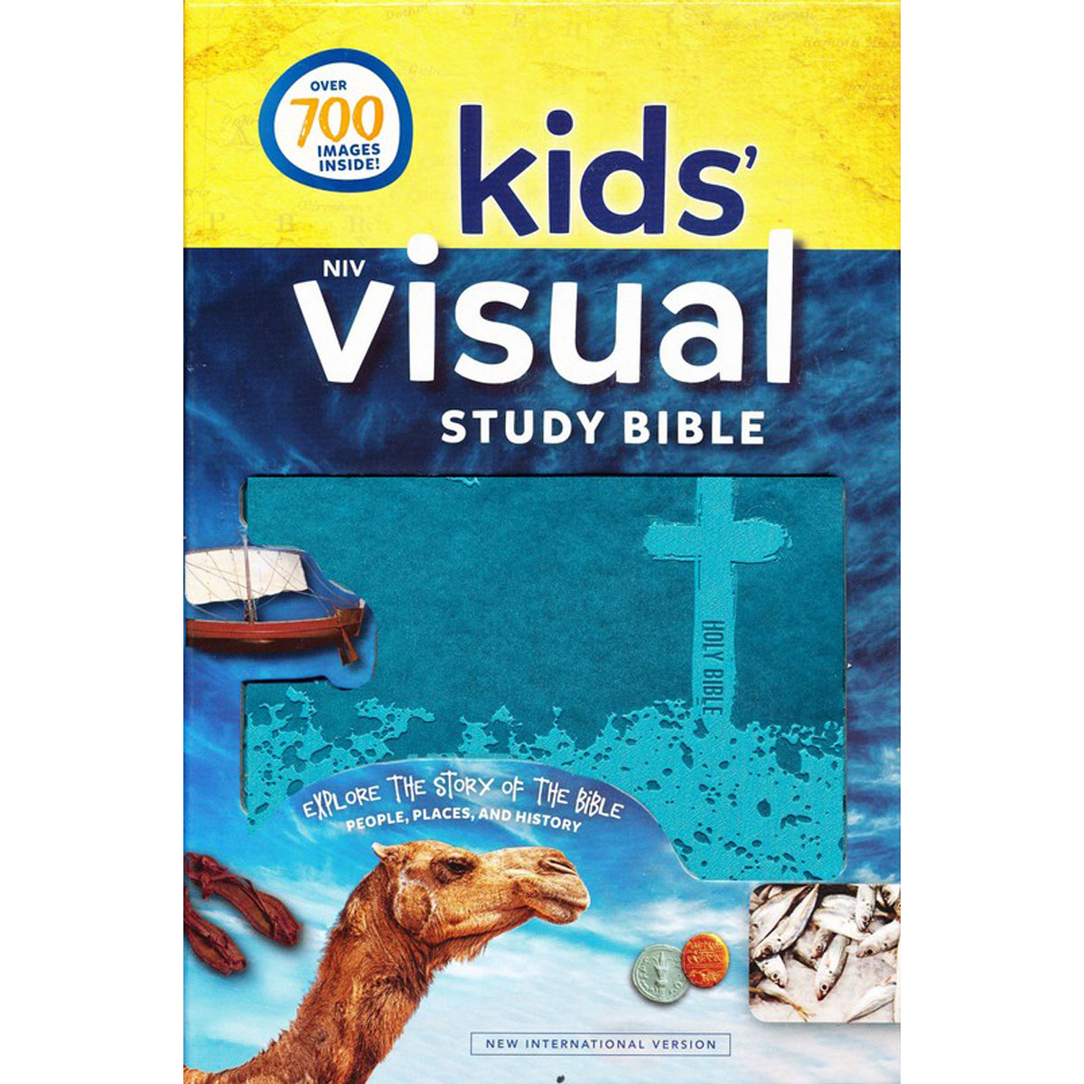 NIV Kids Visual Study Bible Full Color Interior Teal (Imitation Leather)