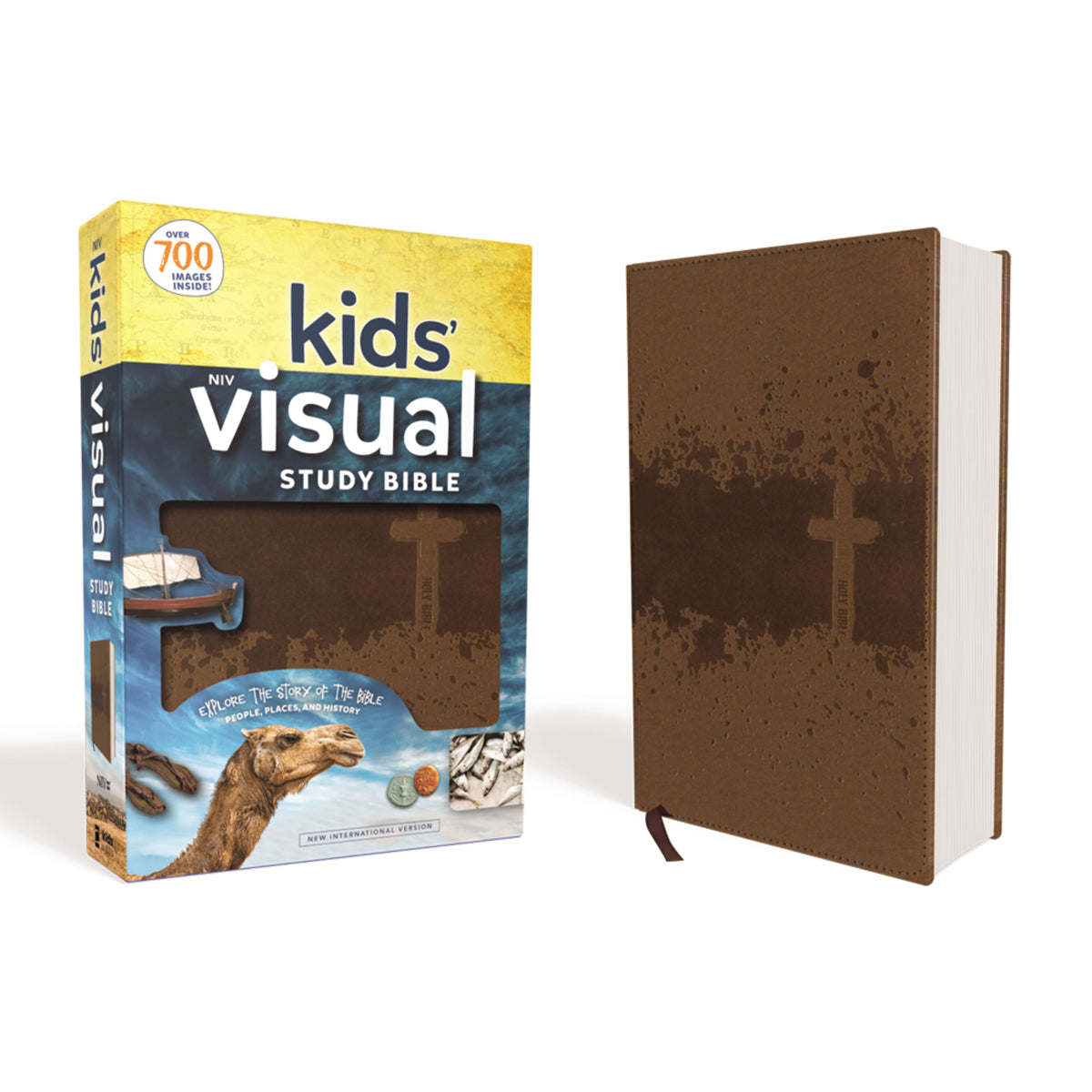 NIV Kids Visual Study Bible Full Color Interior Bronze (Imitation Leather)