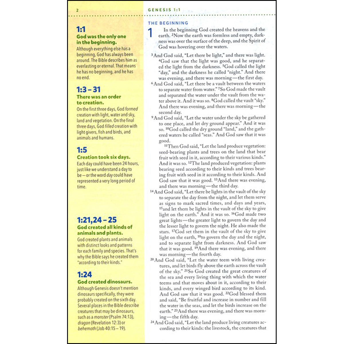 NIV Kids Visual Study Bible Full Color Interior Bronze (Imitation Leather)