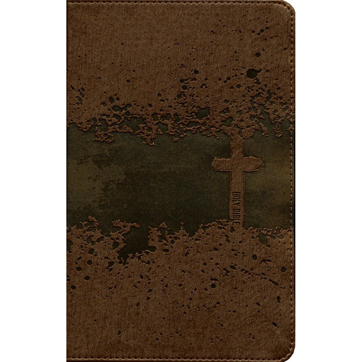 NIV Kids Visual Study Bible Full Color Interior Bronze (Imitation Leather)