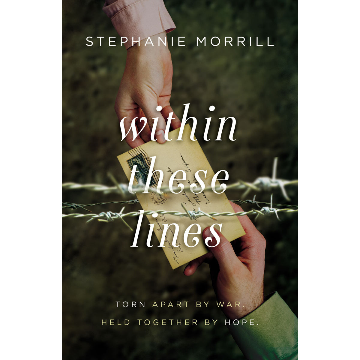 Within These Lines (Paperback)