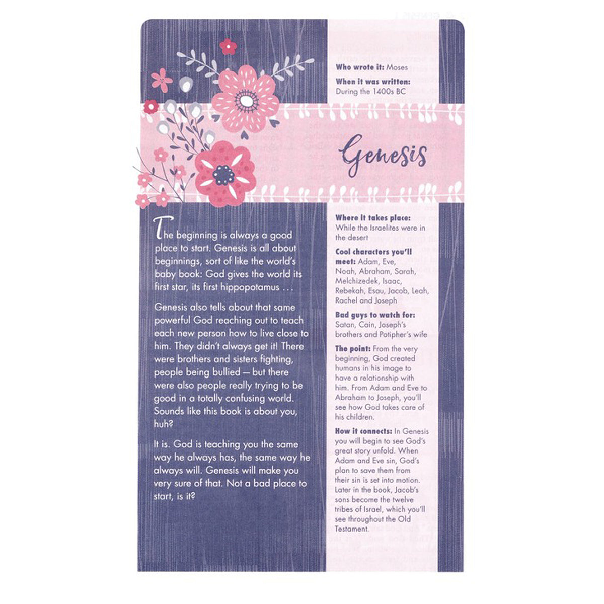 NIV Ultimate Bible For Girls (Hardcover)