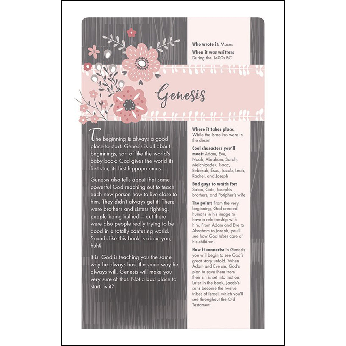 NIV Ultimate Bible For Girls (Hardcover)