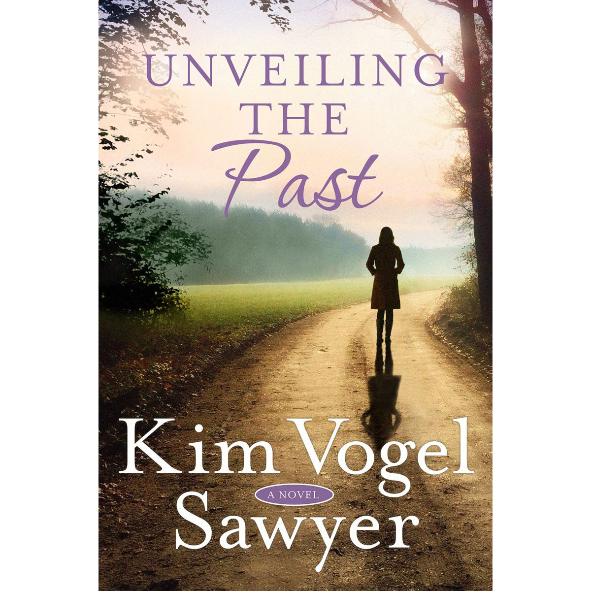 Unveiling The Past: A Novel (Paperback)