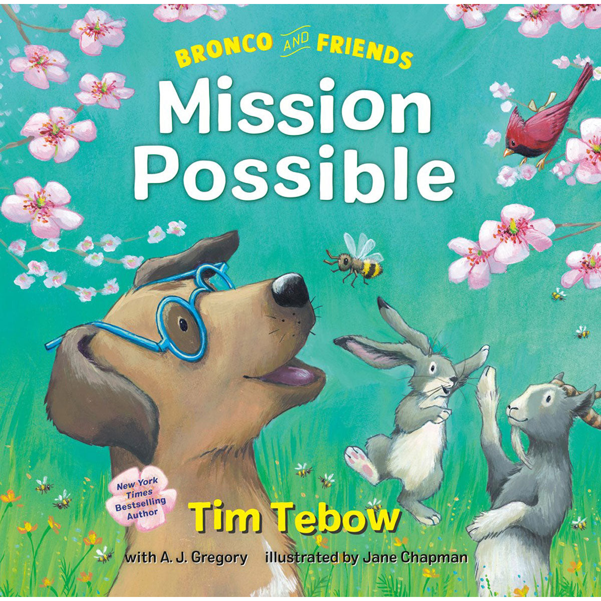 Bronco And Friends: Mission Possible (Book 2)(Hardcover)