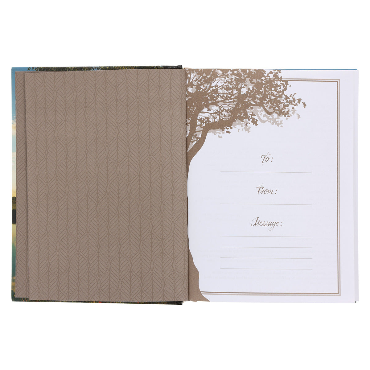 Rooted in Faith: 366 Days to a Deeper Walk with God (Hardcover)