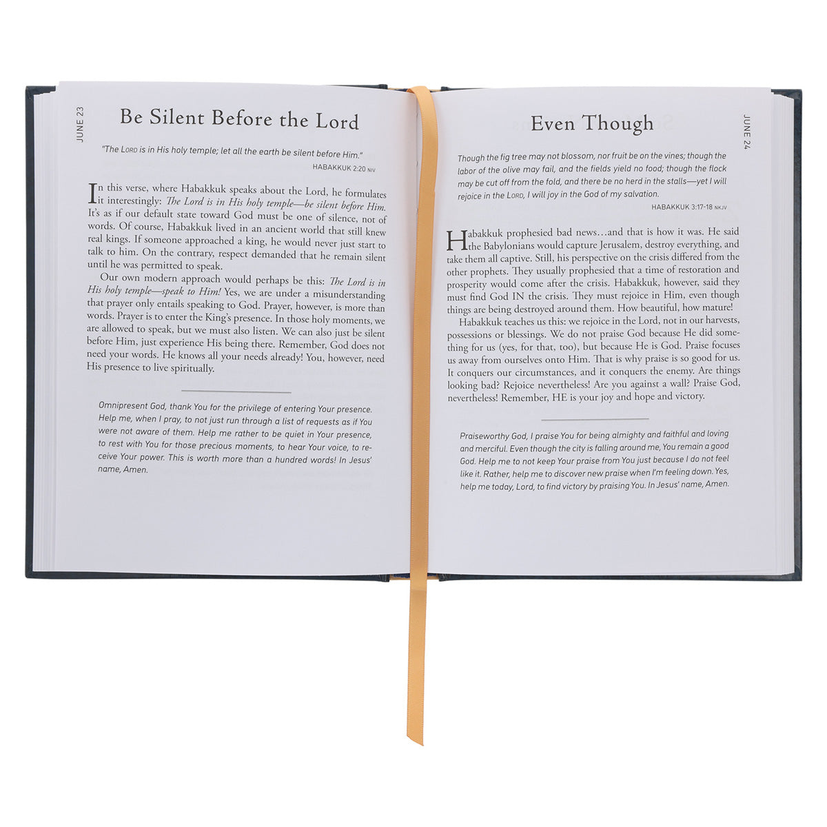 Walk Through God's Word: A 366-Day Journey Through the Bible (Hardcover)
