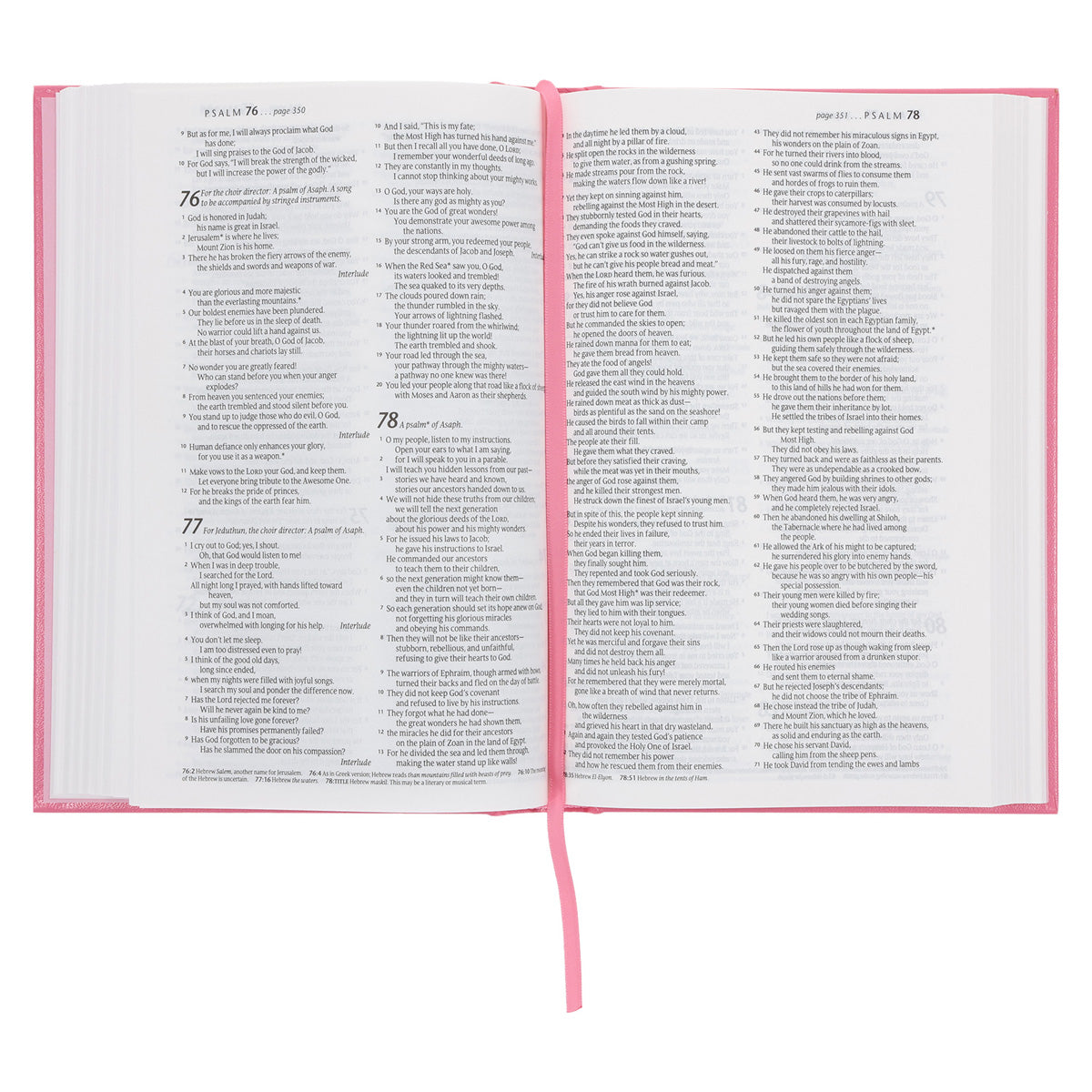NLT Pink Hardcover Standard Bible
