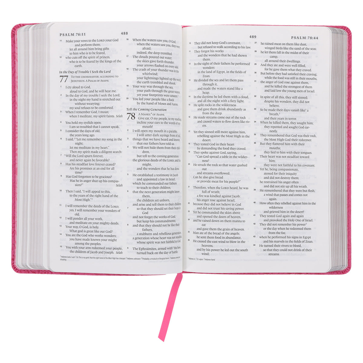 ESV Pink Vines Faux Leather Standard Bible