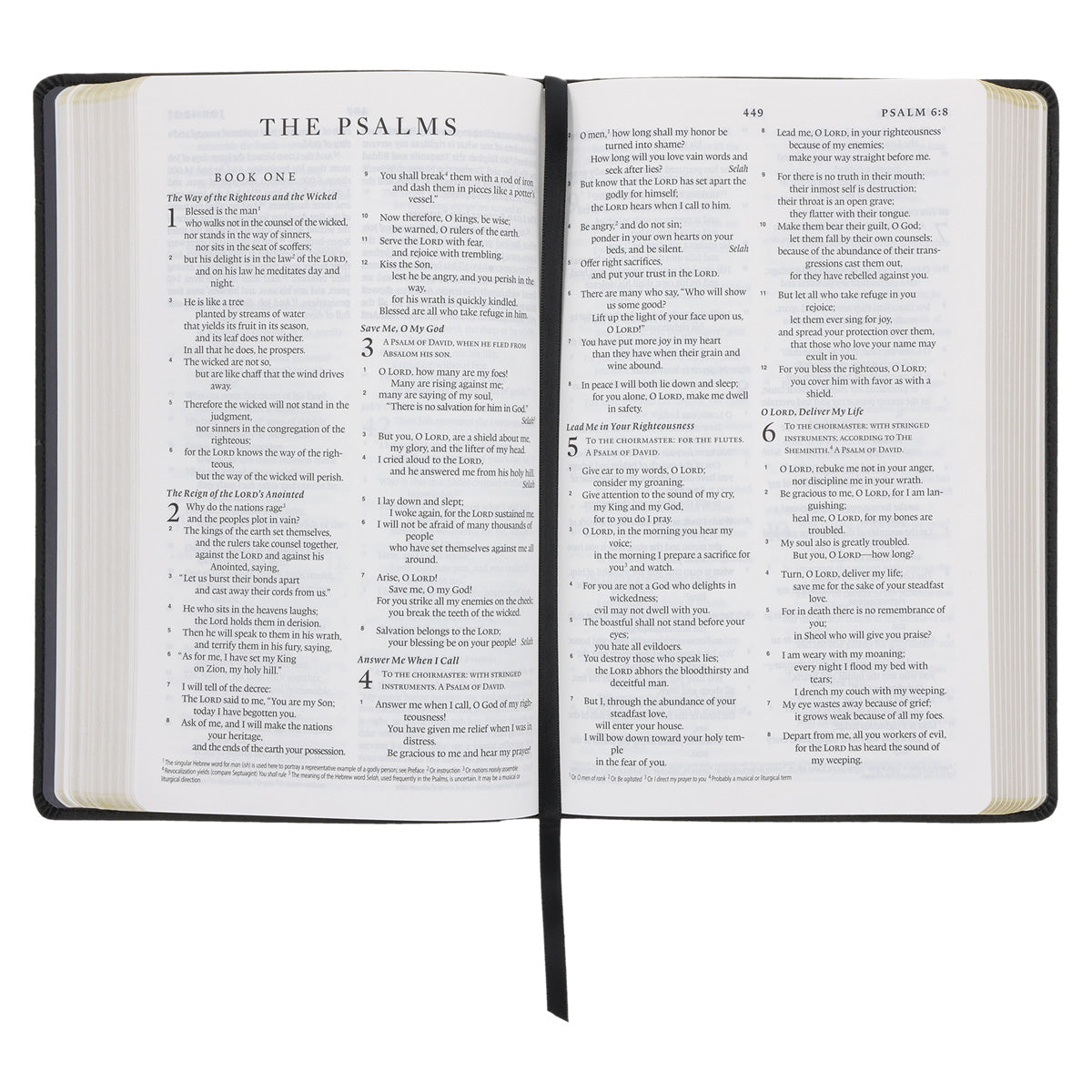 ESV Black Frame Faux Leather Standard Bible