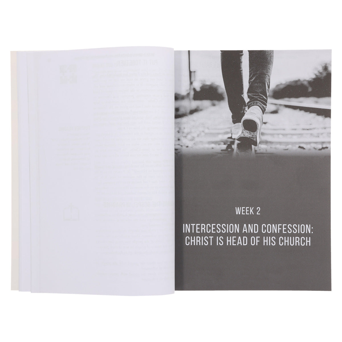 Discovering Your Purpose in God’s Plan Bible Study - 10 Studies from Ephesians PB