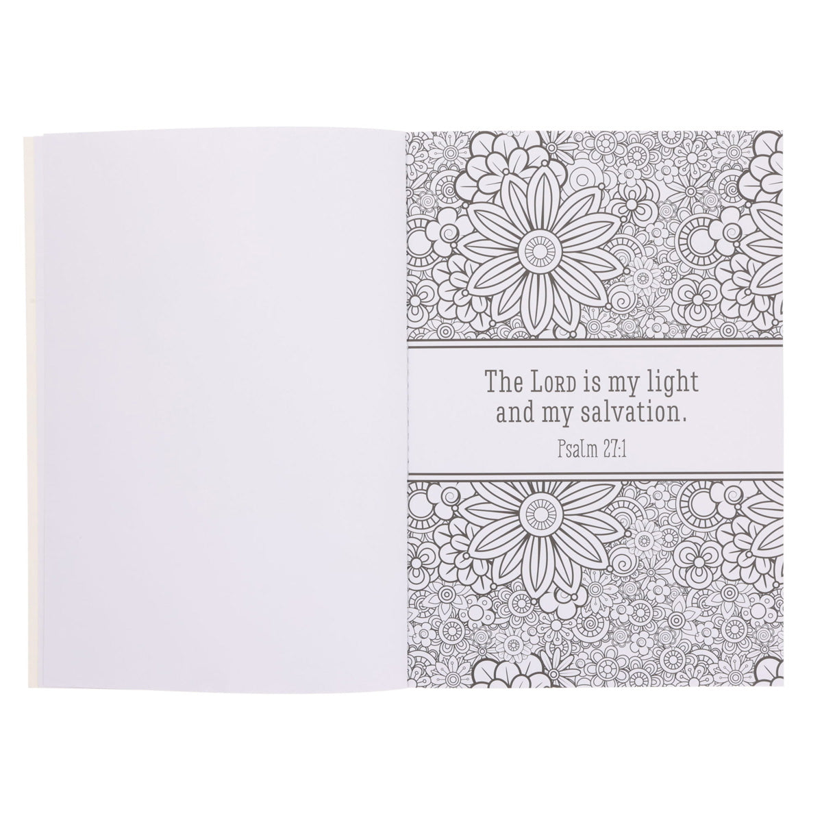 Coloring Through the Psalms Coloring Book (Paperback)