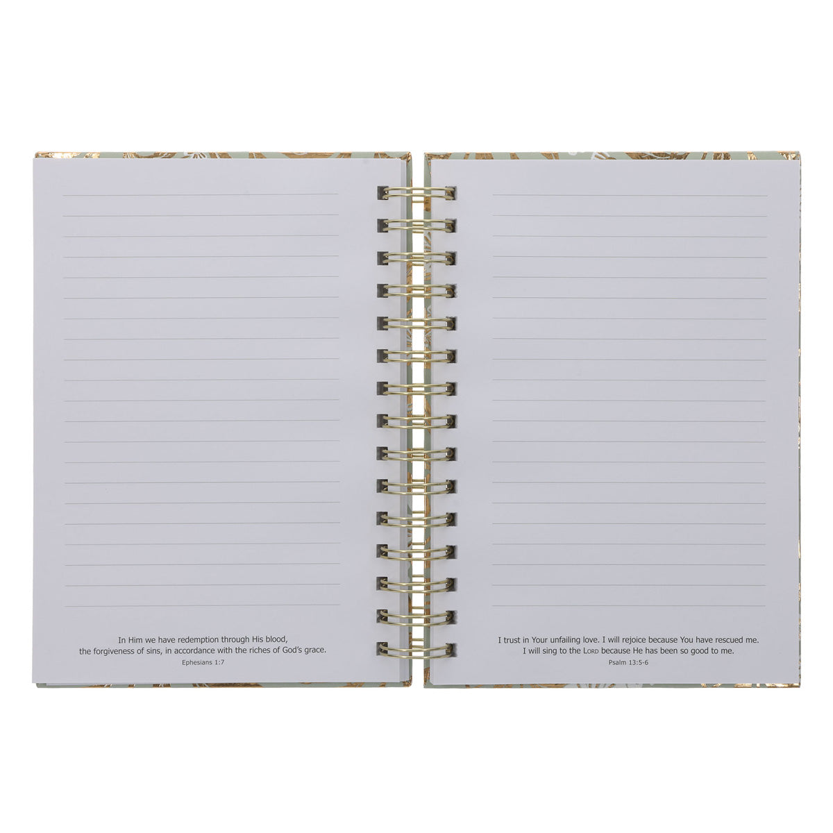 I Can Do All Things Through Christ Sage Hardcover Wirebound Journal