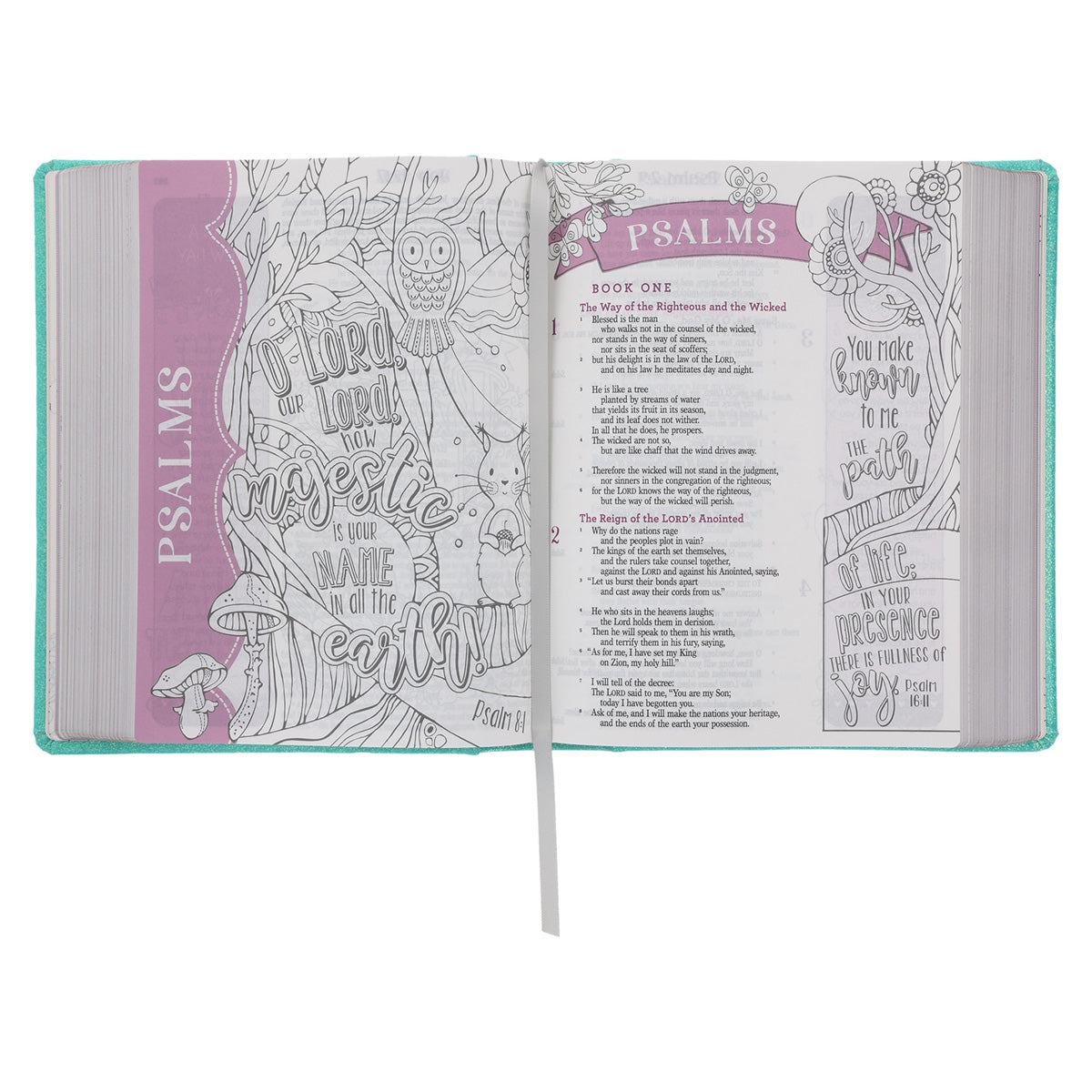 ESV Teal Glitter Hardcover My Creative Bible for Girls