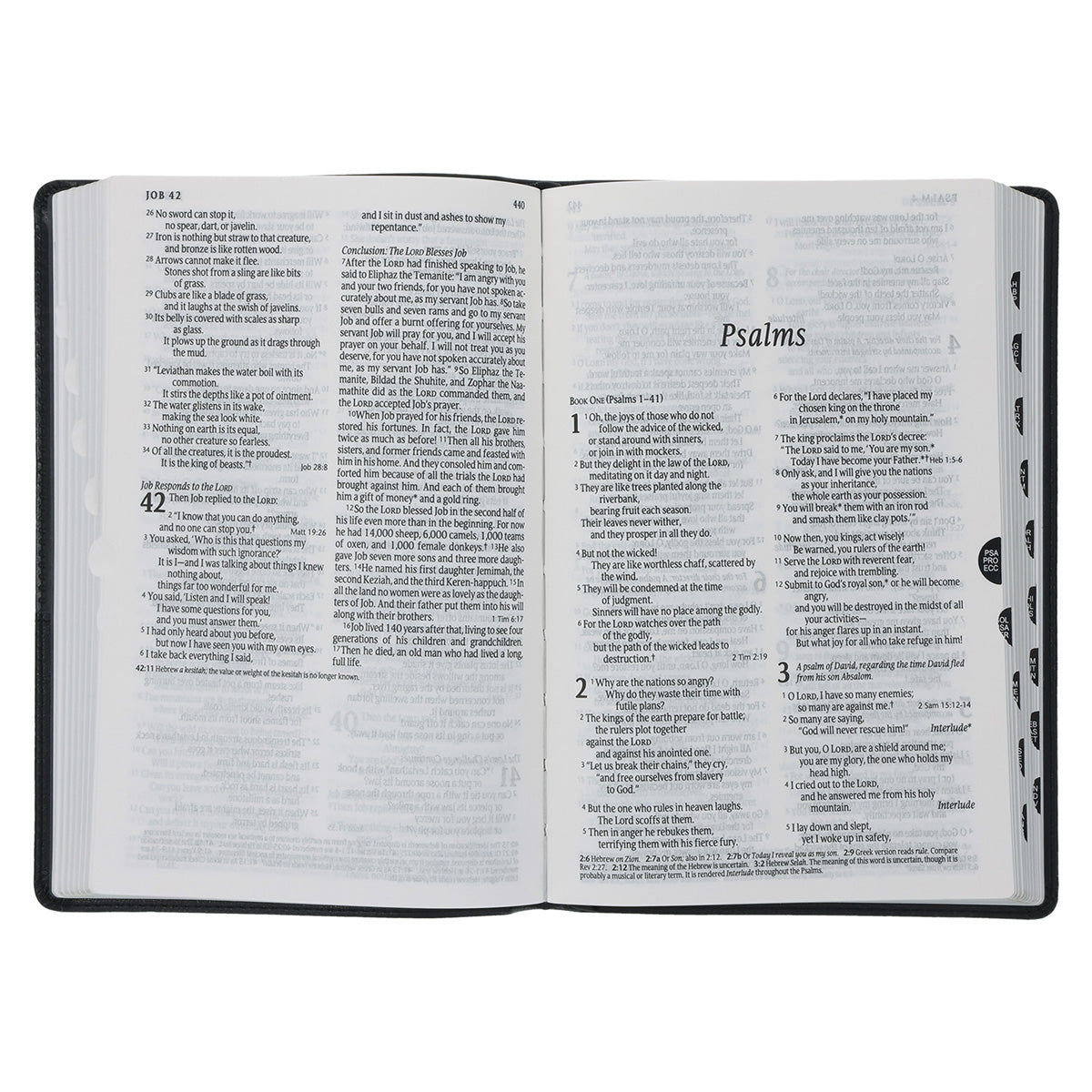NLT Black Faux Leather Standard Bible