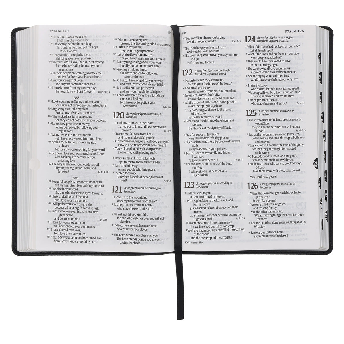 NLT Black Faux Leather Standard Bible