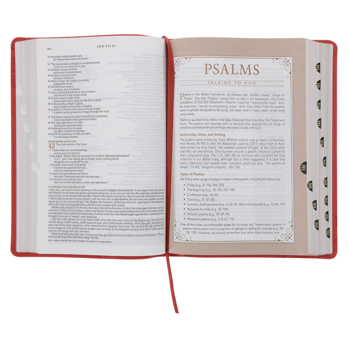 NLT Coral Faux Leather Spiritual Growth Bible