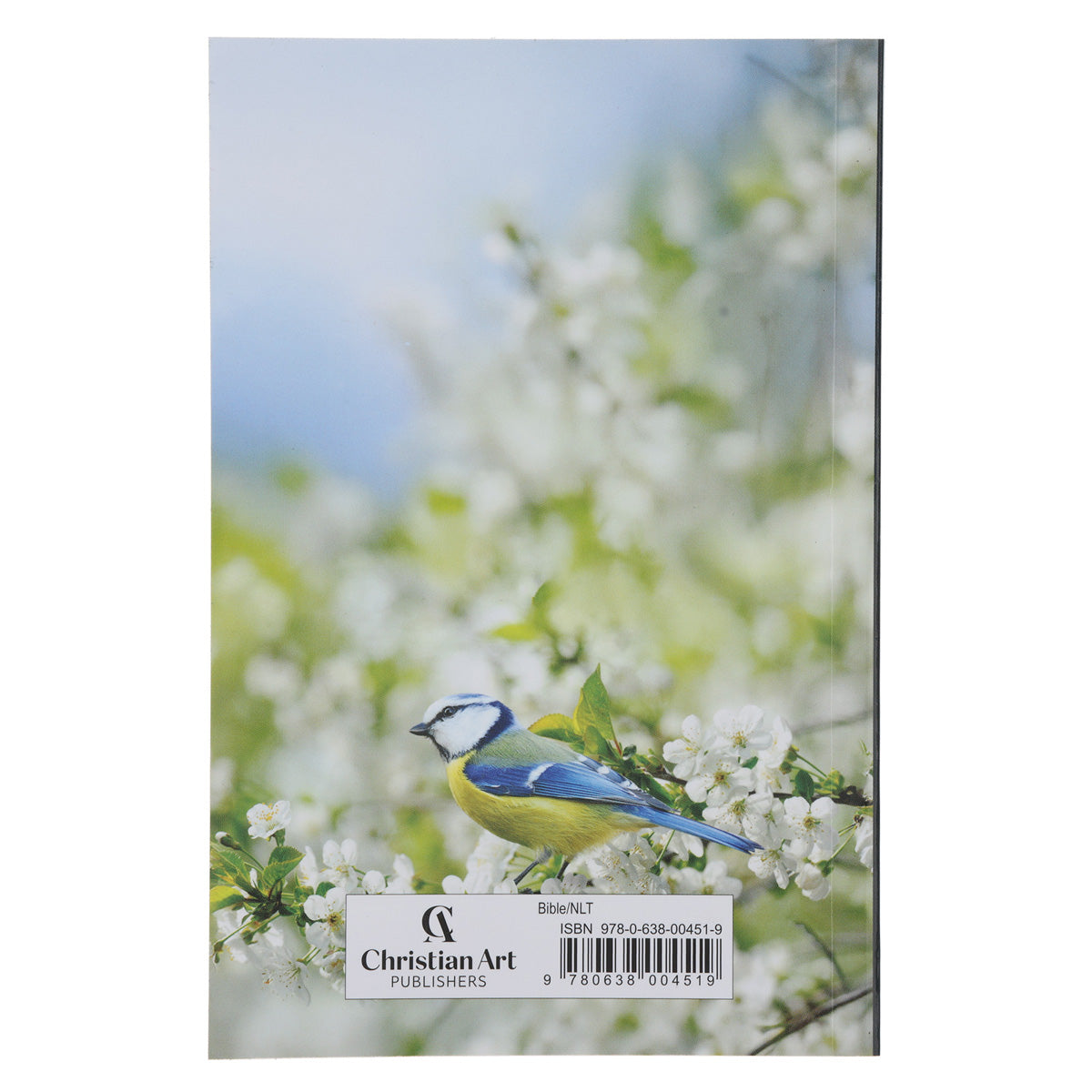NLT Bird Paperback Compact Bible
