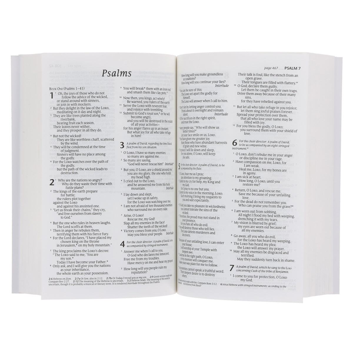 NLT Bird Paperback Compact Bible