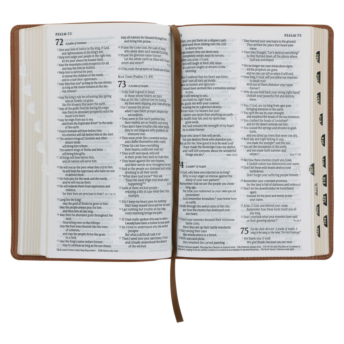 NLT Tan Genuine Leather Flexcover Standard Bible with Indexing Tabs