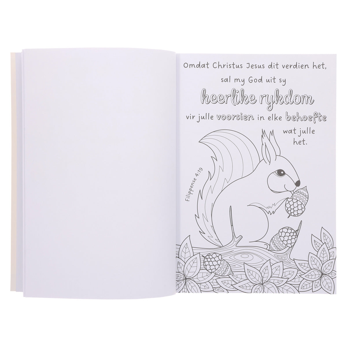 My Gunsteling Bybelverse Inkleurboek vir Dogters (Sagteband)